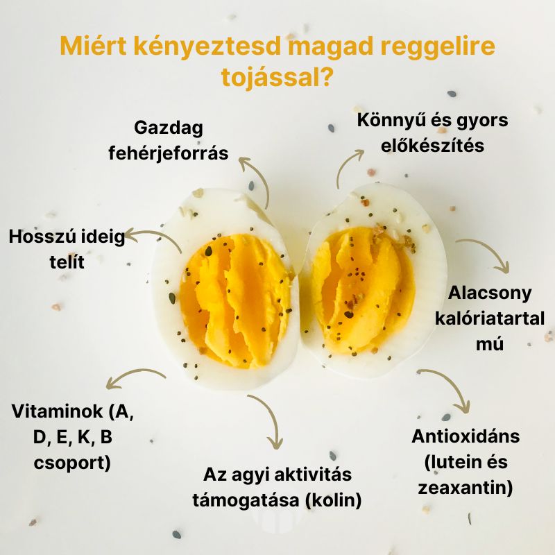 (Maďarština) Proč si dopřát vajíčka k snídani